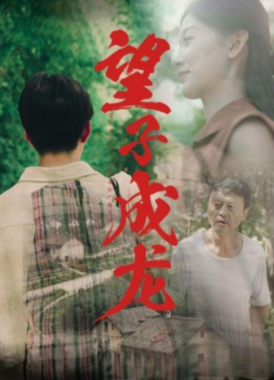 短剧《望子成龙（74集全）王义海&----刘蓝鸽》夸克网盘资源免费观看