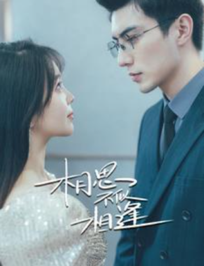 短剧《相思不似相逢(97集全）》夸克网盘资源免费观看
