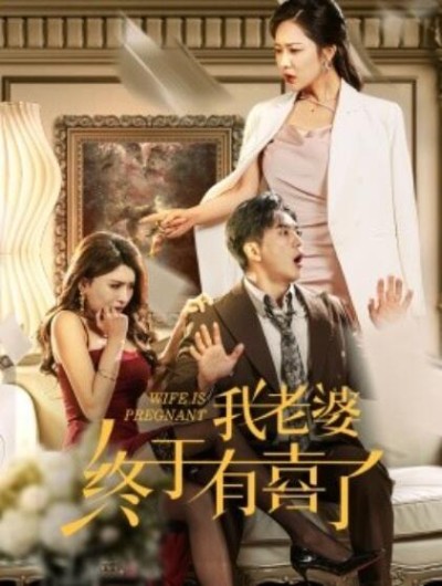 短剧《我老婆终于有喜了（40集全）钟莹玲&----王希如》完整版高清免费观看