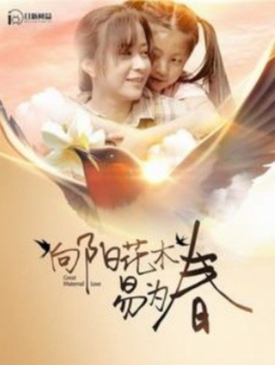 短剧《向阳花木易为春（101集全）》夸克网盘资源免费观看