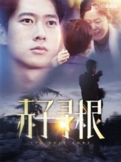 短剧《赤子寻根（100集全）》夸克网盘资源免费观看