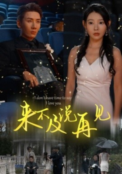 短剧《来不及说再见（30集全）刘博洋&----张嘉妤》