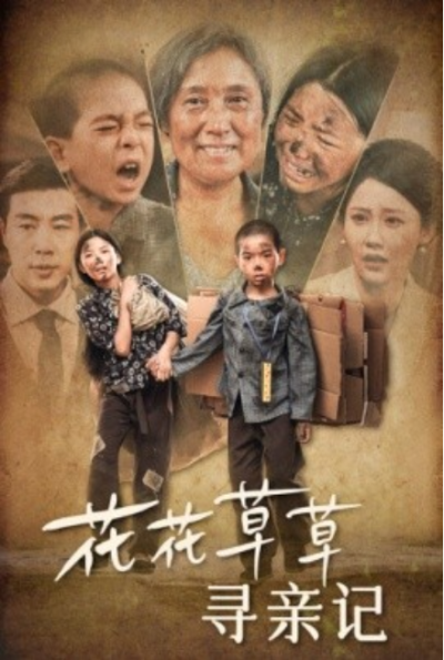 短剧《花花草草寻亲记（42集全）》夸克网盘资源免费观看