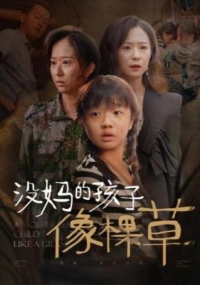 短剧《没妈的孩子像棵草（50集全）》完整版高清免费观看